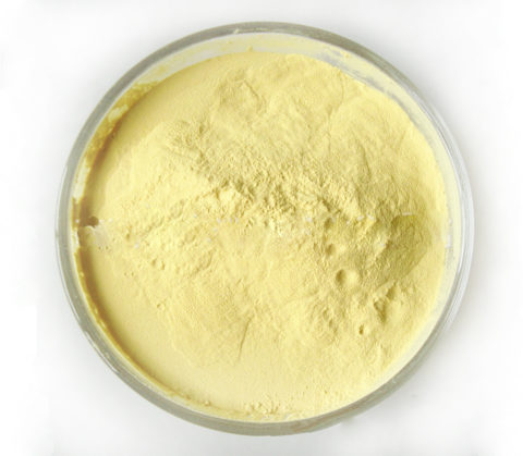 pine pollen powder